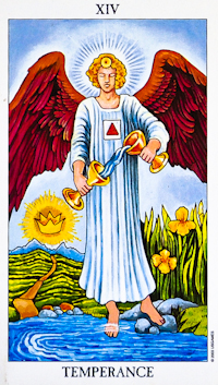 Tarot Card